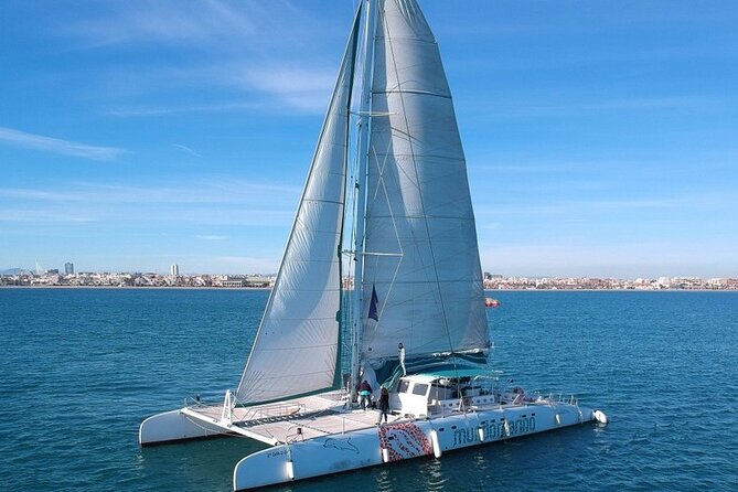 1 Hour Sailing Excursion in Valencia - A short coastal cruise with a clear purpose