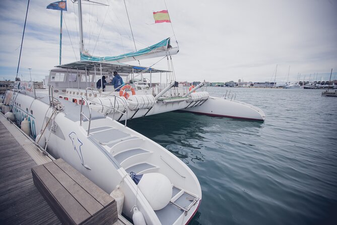 A day at Sea aboard Mundo Marino Catamaran in Valencia - What the boat feels like for three hours