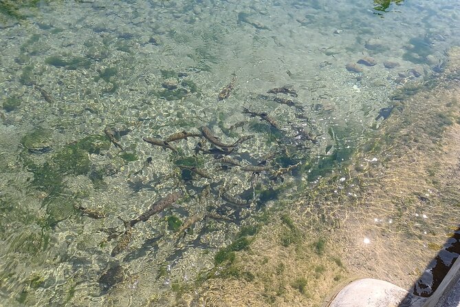 A day tour in Montanejos hot springs. - What the hot-springs stop is really like
