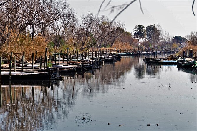 Albufera: Lake, Paella and Birdwatching - Why Albufera makes a good half-day from Valencia