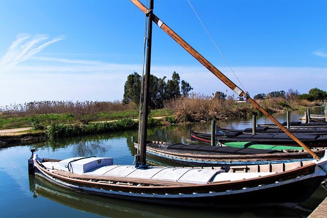 Albufera: Lake, Paella and Birdwatching - Paella lunch in El Palmar