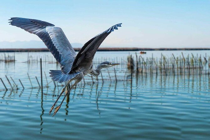 Albufera Natural Park with Sunset Boat Tour from Valencia - Why Albufera makes a good escape from Valencia