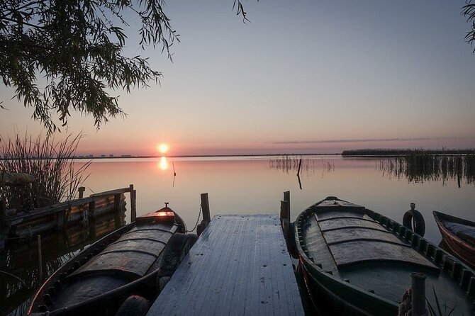 Albufera Natural Park with Sunset Boat Tour from Valencia - Walking through Albufera’s rice country