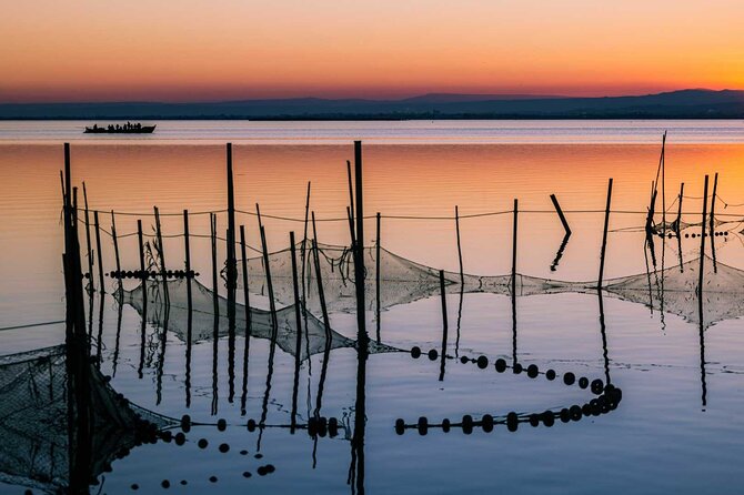 Albufera Natural Park with Sunset Boat Tour from Valencia - What the guides add to the outing