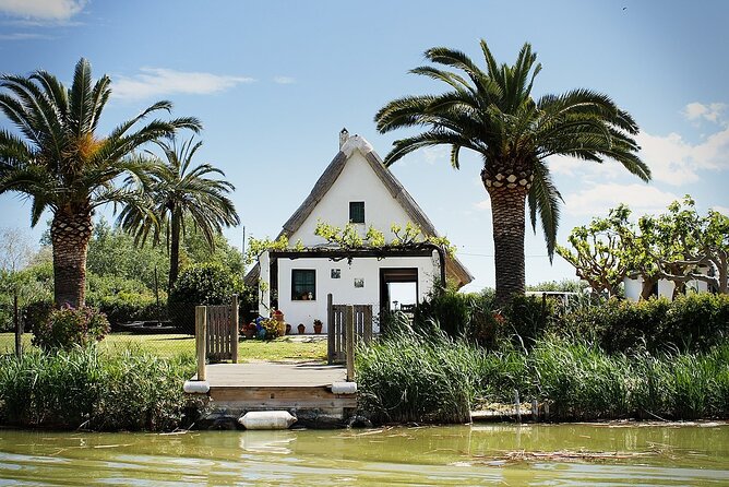 Albufera Natural Park with Sunset Boat Tour from Valencia - How the $46.96 price holds up