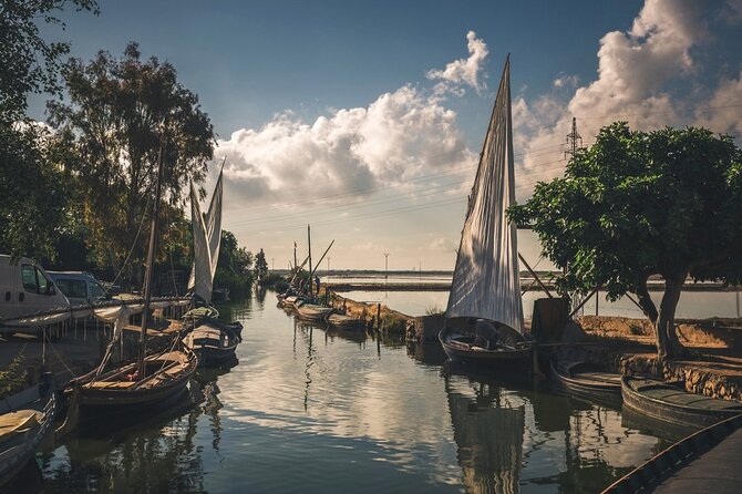 Albufera Natural Park with Sunset Boat Tour from Valencia - Starting from Valencia with Hola Trip