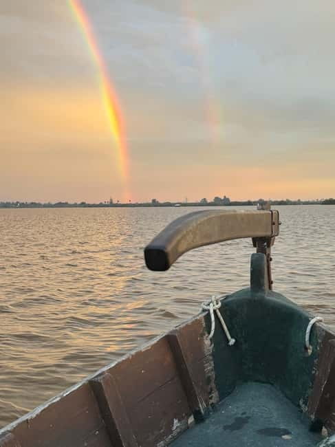 Albufera of Valencia: Guided boat ride around the Albufera - Birdlife without the roar of an engine