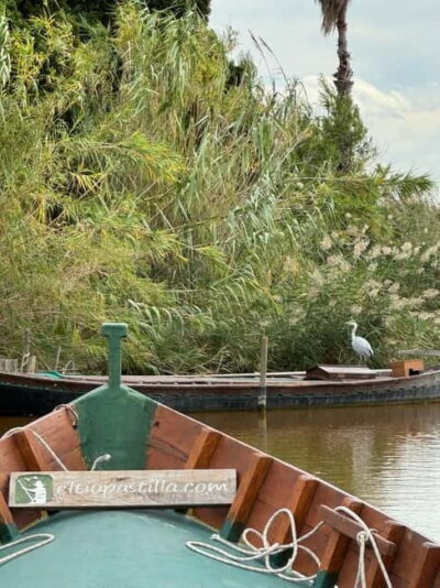 Guided boat ride around the Albufera
