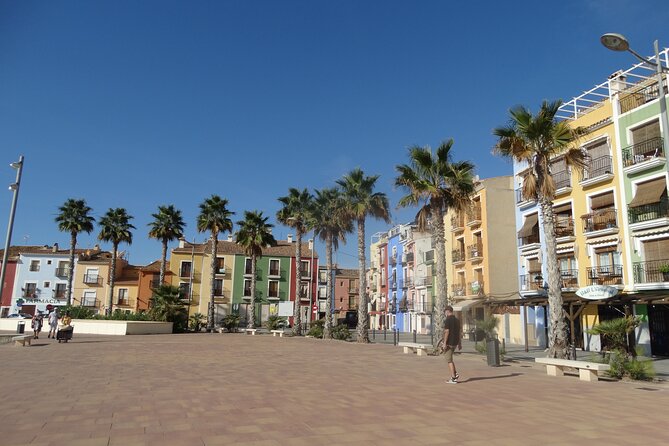 Altea Benidorm and Villajoyosa from Valencia - Key points to know before booking