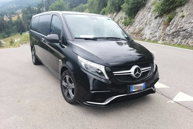 Berlin Airport (BER) to Berlin - Arrival Private Transfer - English-speaking drivers and communication