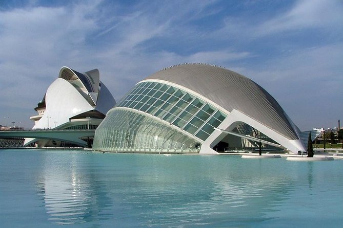 Best of Valencia 4-Hour Private Tour with transport - Plaza stops and the Basilica of the Virgin