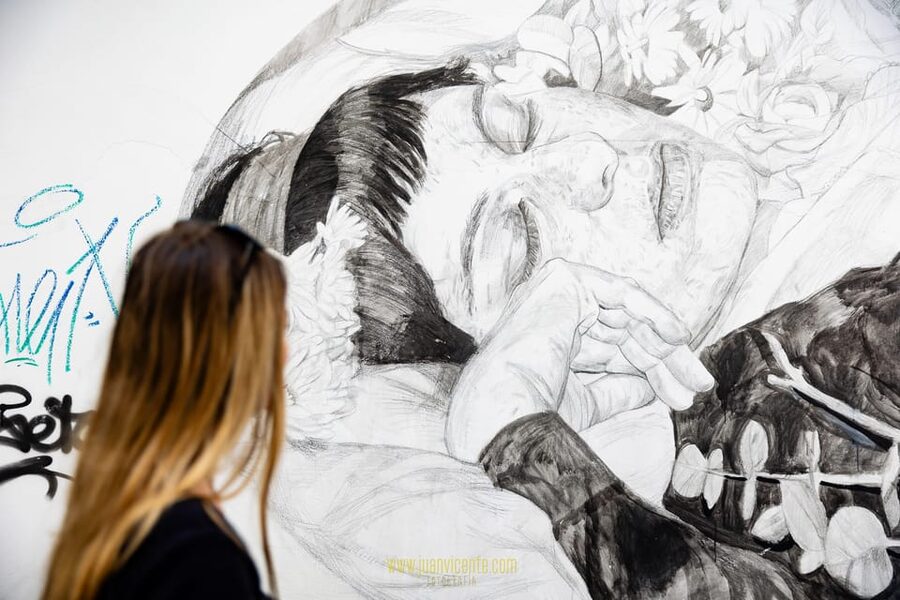 Best Street Art in Valencia Walking Tour - What the two-hour format means