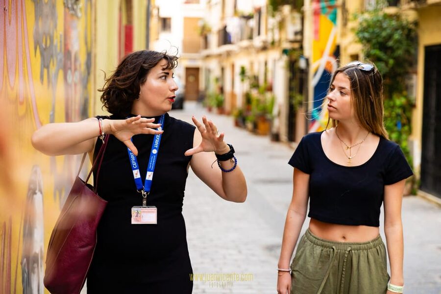 Best Street Art in Valencia Walking Tour - Price, language, and practical value
