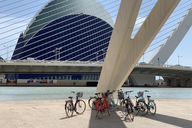 Bicycle Rental in Valencia - Choosing the right bicycle for a full day