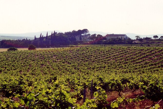 Cheese Factory Workshop with Wine Tasting in Requena, Valencia - Is $114.70 a fair price?