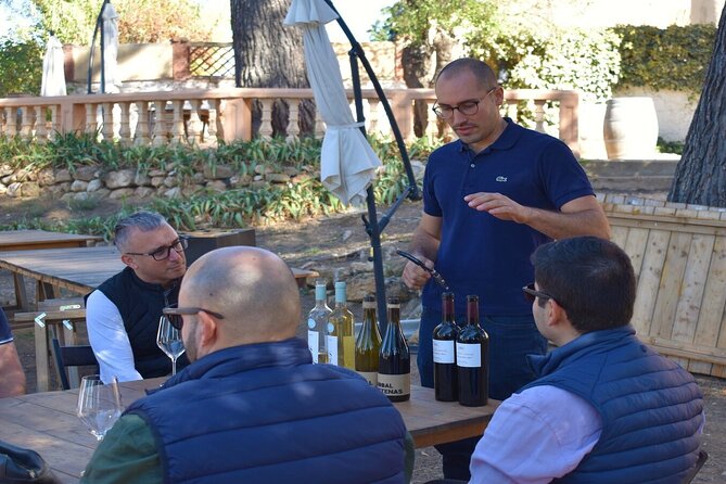 Cheese Factory Workshop with Wine Tasting in Requena, Valencia - Should you book the cheese and wine day?