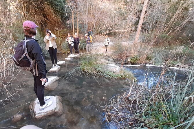 Chulilla Hike to the Hanging Bridges from Valencia - The Climb to Loriguilla Reservoir