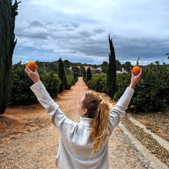 Citrus Treasures: Exploring Valencia's Orange Grove - A first look at the 1870 Modernist house