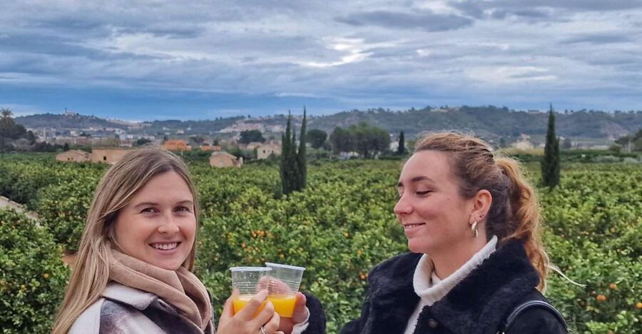 Citrus Treasures: Exploring Valencia's Orange Grove - The citrus tasting: juice, jam, honey, and liqueur