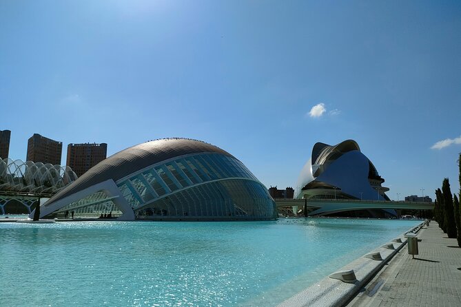 City of Arts and Sciences Bike Tour - Turia Park: a riverbed turned into a city park