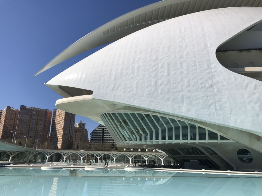 City of Arts & Sciences Tour on Bicycle, E-Bike or E-Step - Key points to know before you book