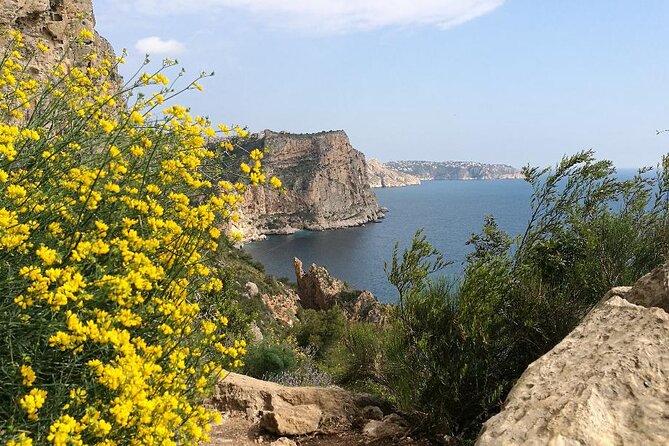 Coastal Cliffs & Beaches: Private Full Day Tour - Weather, clothing, and fitness tips