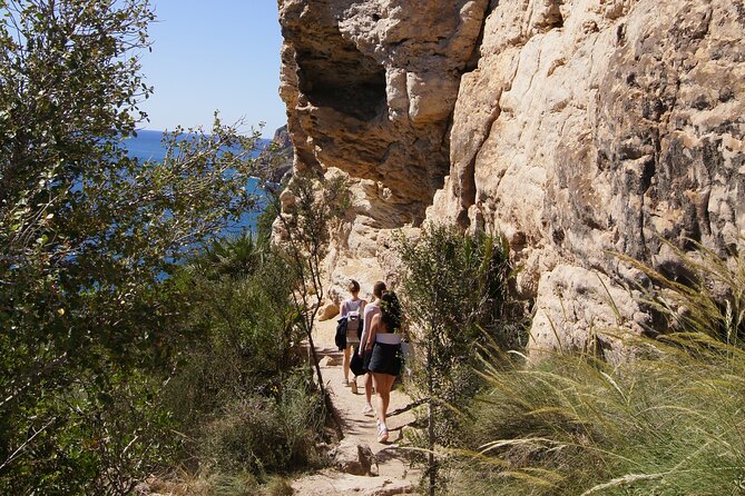 Coastal Cliffs & Beaches: Private Full Day Tour - Who will enjoy this private coastal tour
