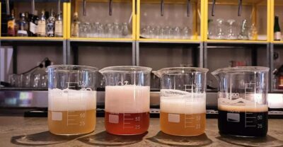 Craft Beer Tasting and tapas in Valencia