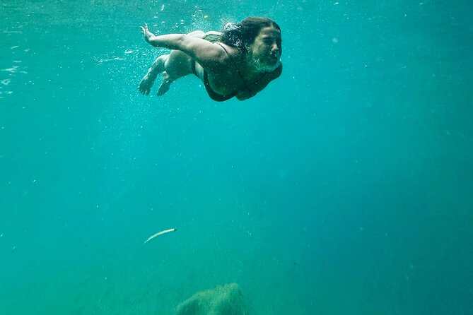 Discover Valencia's Magical Nature - Who should book this Valencia nature trip