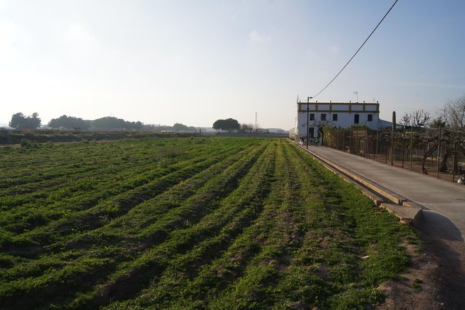 Discovering Valencia - private full day tour - The 20-minute forest walk