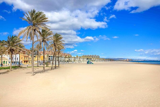 E-bike Tour: Beaches, & City of Arts and Sciences (From €30,00) - From Ruzafa to the Mediterranean coast