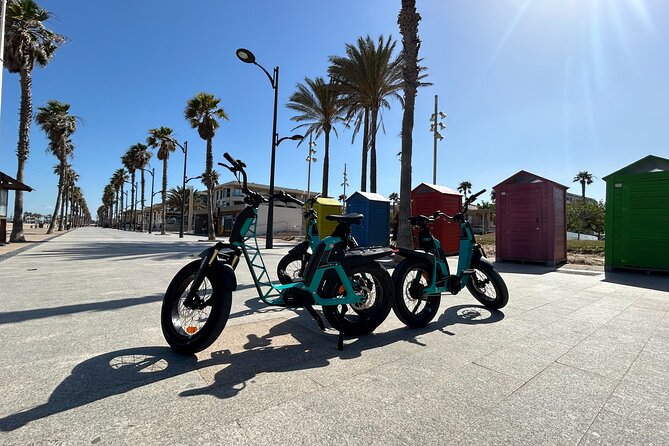 E-bike Tour: Beaches, & City of Arts and Sciences (From €30,00) - The ride back to the City of Arts and Sciences