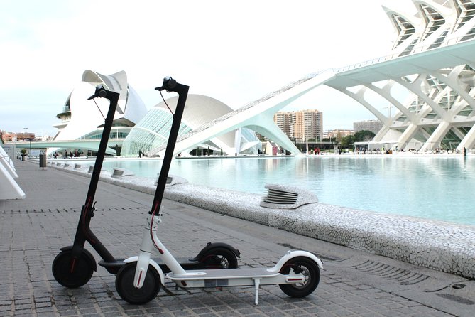 Electric Scooter Rental - Key points to know before you book