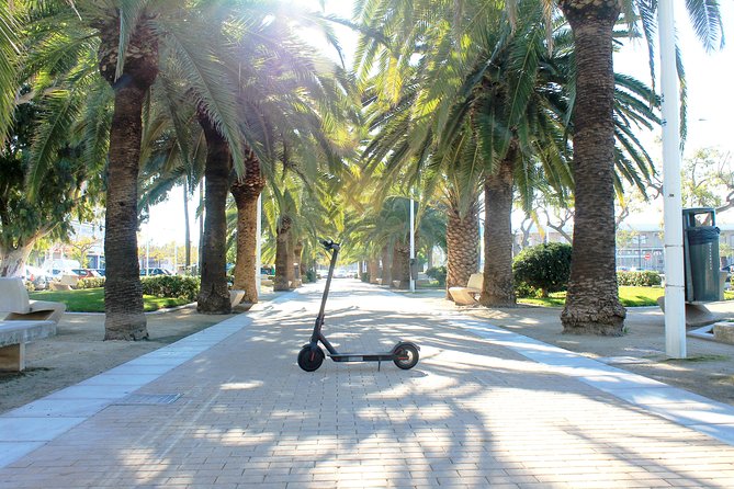 Electric Scooter Rental - The human side of the rental shop