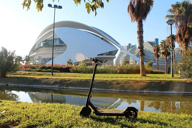 Electric Scooter Rental - Crossing Valencia through Turia Park