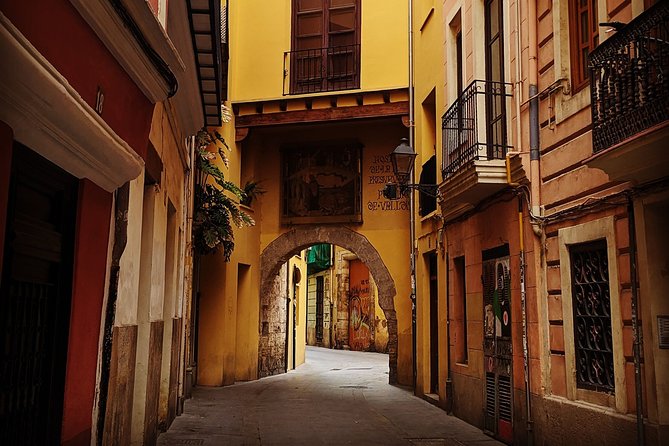 Essential Valencia: Local Culture and Gastronomy - The Barrio del Carmen in 15 minutes