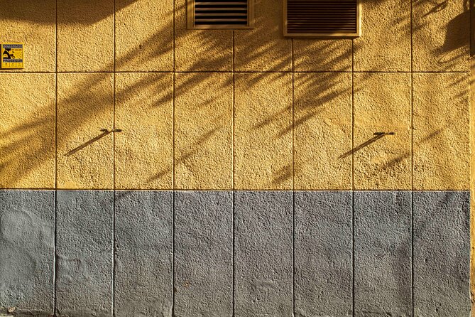 Excellent Private Photography Walking Tour & Workshop in Valencia - What the private format changes