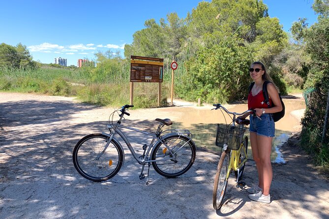 From the Old Town to the City of Arts – Small Group Bike Tour - Reaching the City of Arts and Sciences