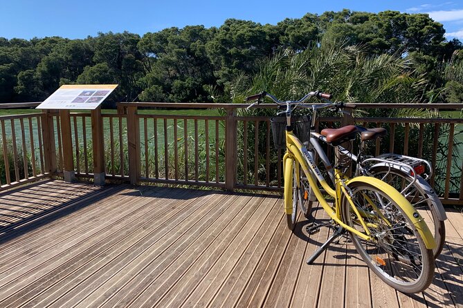 From the Old Town to the City of Arts – Small Group Bike Tour - A guide-led ride with a local angle