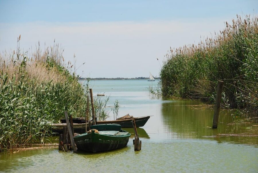 From Valencia: Albufera Boat Ride, Sunset & Paella Included - Key points at a glance