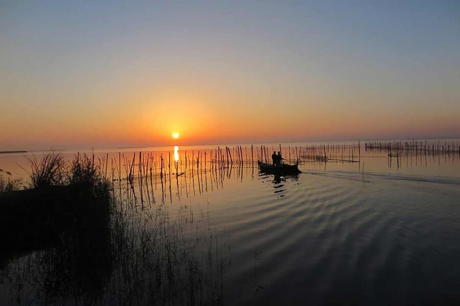 From Valencia: Albufera Boat Ride, Sunset & Paella Included - Why Albufera makes a fine half-day from Valencia