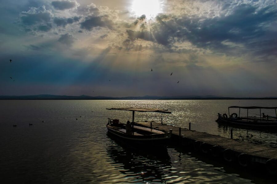 From Valencia: Albufera Boat Ride, Sunset & Paella Included - One hour on Albufera’s open water