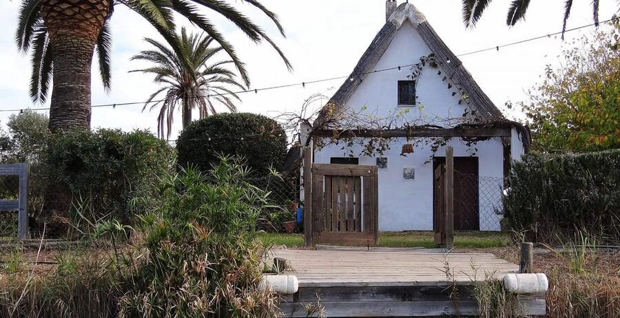 From Valencia: Albufera Boat Ride, Sunset & Paella Included - What the guide adds to the outing