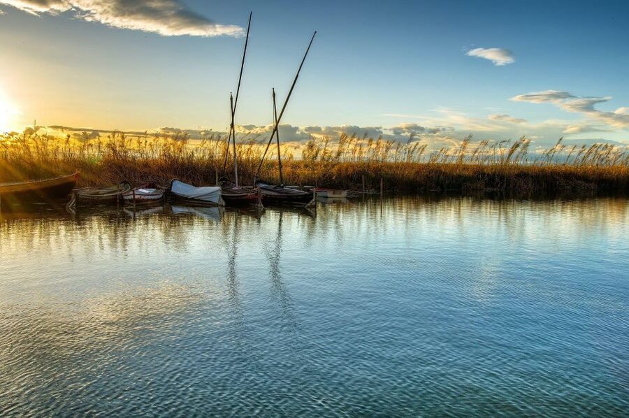 From Valencia: Albufera Natural Park with Sunset Boat Tour - Simple preparation for a better evening