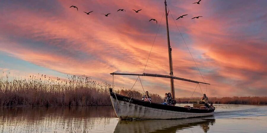 From Valencia: Albufera Natural Park with Sunset Boat Tour - A gentle walk toward El Saler’s dunes
