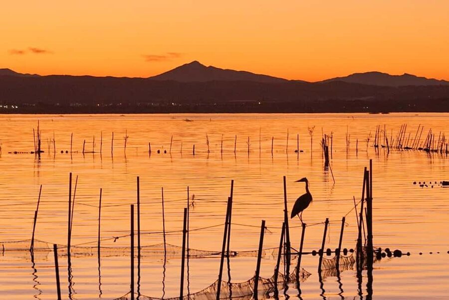 From Valencia: Albufera Natural Park with Sunset Boat Tour - The sunset schedule and what it means for your day