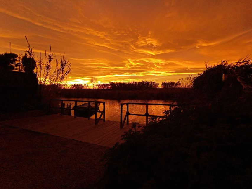 From Valencia: Albufera Natural Park with Sunset Boat Tour - Is $40 a fair price?