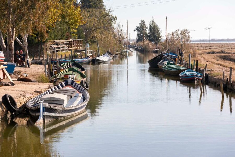 From Valencia: Albufera Natural Park with Sunset Boat Tour - Who will enjoy this four-hour outing