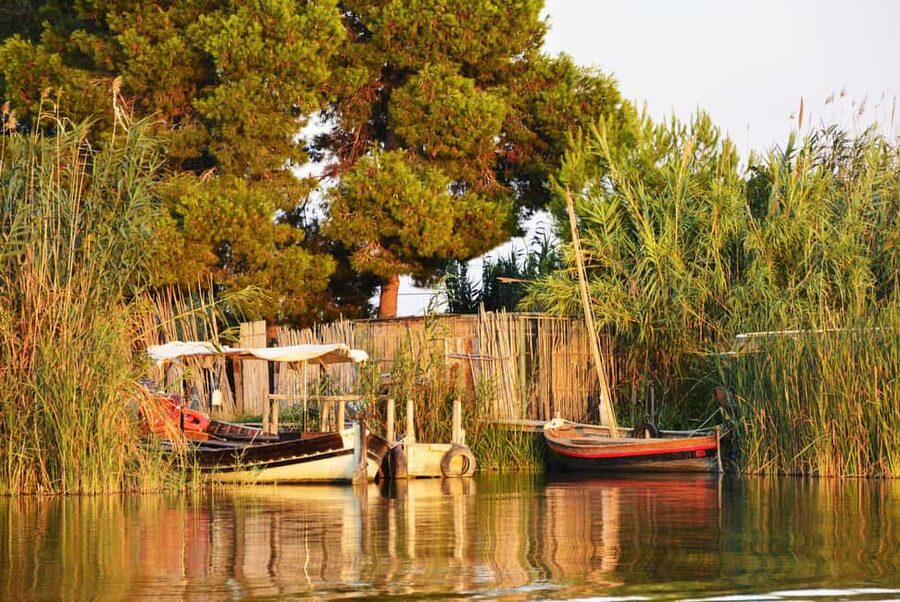 From Valencia: Albufera Natural Park with Sunset Boat Tour - Meeting the coach in Valencia