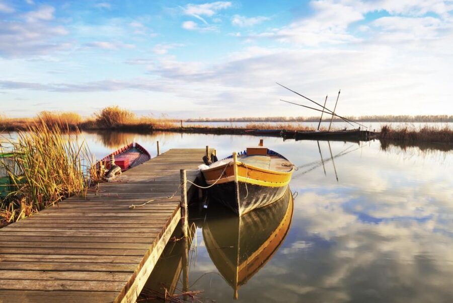 From Valencia: Albufera Private Tour, Paella & Boat Ride - Rice stories on a one-hour Albufera cruise